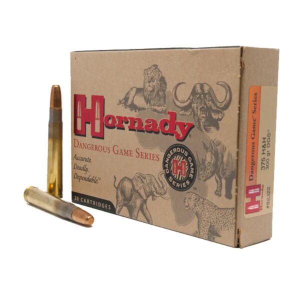 375H&H DGS 300gr/ 19.4g